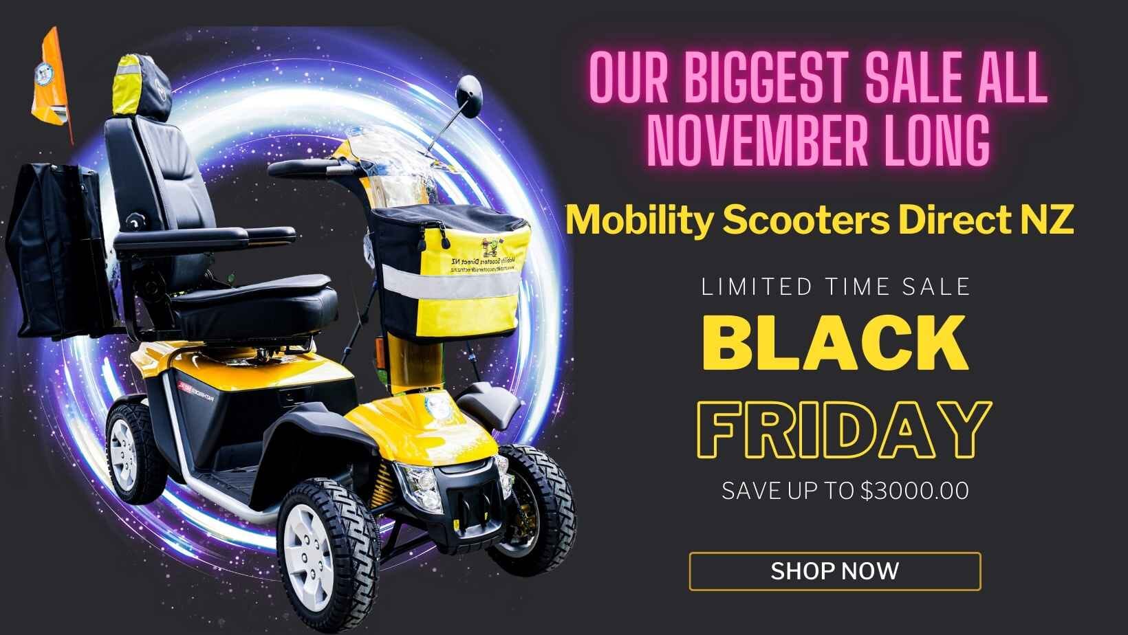 Black Friday Sale